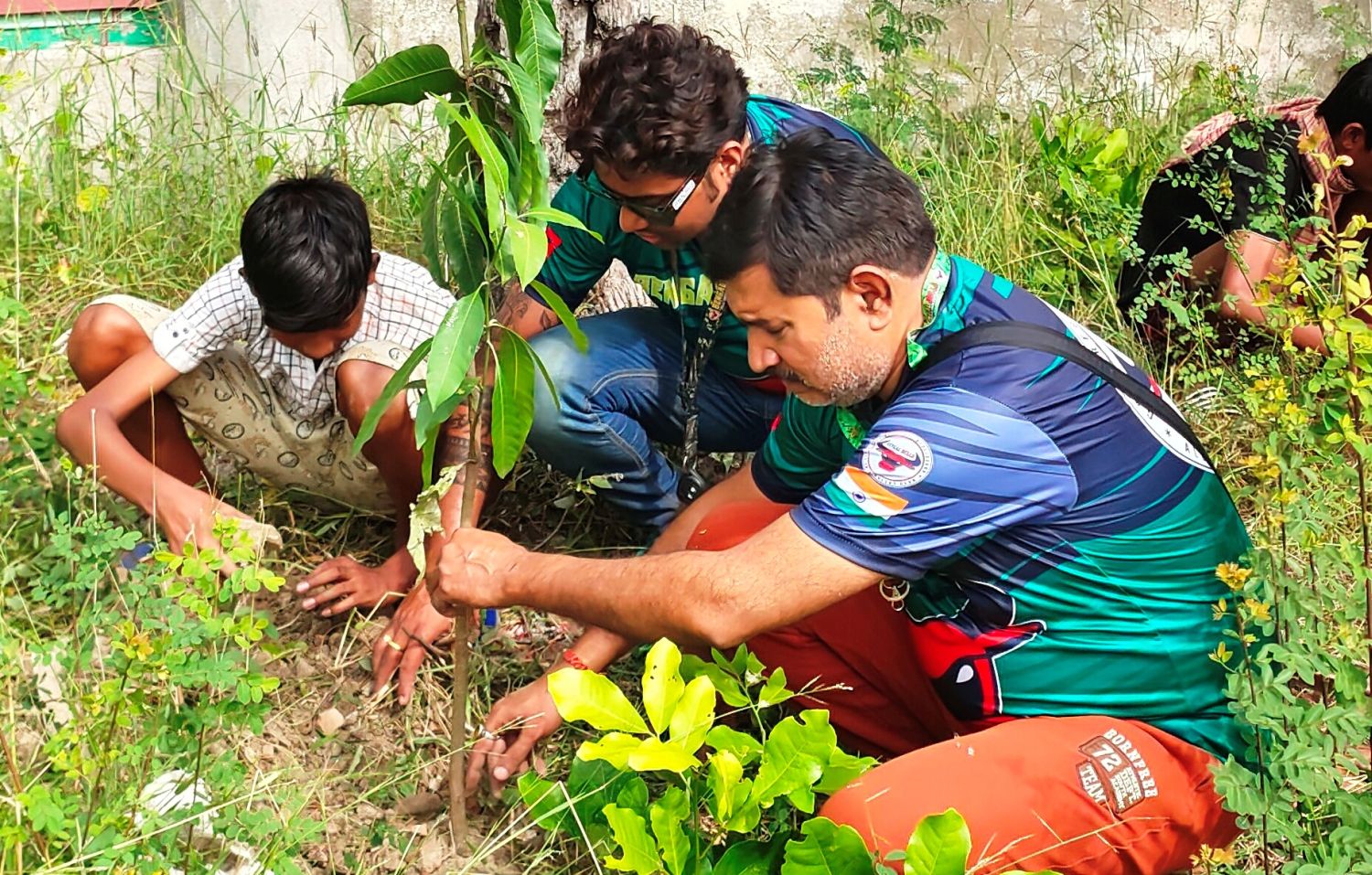 Tree Plantation